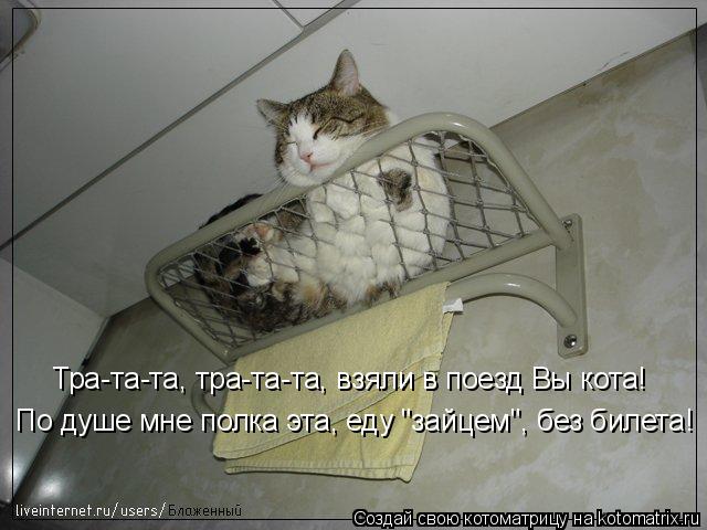 Котоматрица: По душе мне полка эта, еду "зайцем", без билета! Тра-та-та, тра-та-та, взяли в поезд Вы кота!
