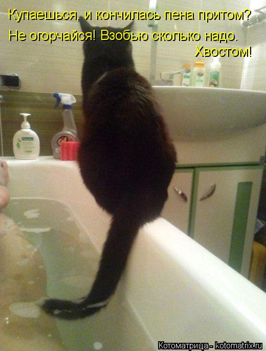 Котоматрица: Купаешься, и кончилась пена притом? Не огорчайся! Взобью сколько надо. Хвостом!