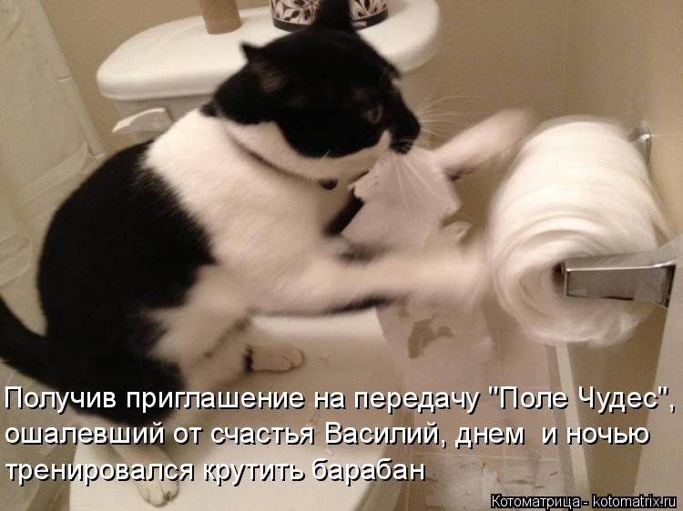 Получив приглашение на передачу "Поле Чудес", ошалевший от счастья Василий, днем и ночью тренировалс... Котоматрица: Получив приглашение на передачу "Поле Чудес", ошалевший от счастья Василий, днем и ночью тренировался крутить барабан