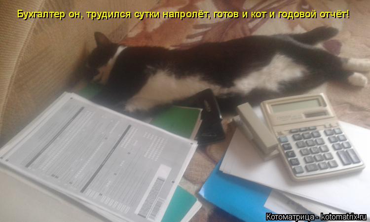Котоматрица: Бухгалтер он, трудился сутки напролёт, готов и кот и годовой отчёт!