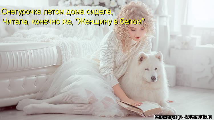 Котоматрица: Снегурочка летом дома сидела, Читала, конечно же, "Женщину в белом".