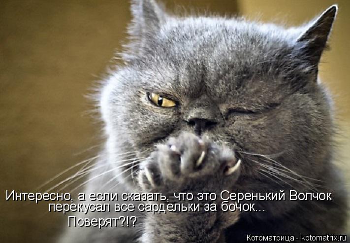 перекусал все сардельки за бочок... Поверят?!? Интересно, а если сказать, что это Серенький Волчок... Котоматрица: перекусал все сардельки за бочок... Поверят?!? Интересно, а если сказать, что это Серенький Волчок