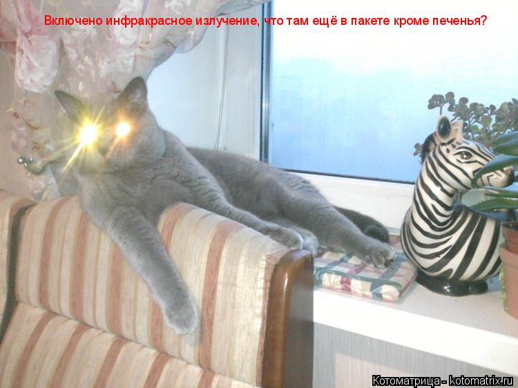 Котоматрица: Включено инфракрасное излучение, что там ещё в пакете кроме печенья?
