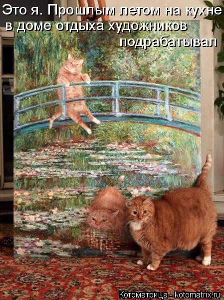Котоматрица: в доме отдыха художников подрабатывал Это я. Прошлым летом на кухне