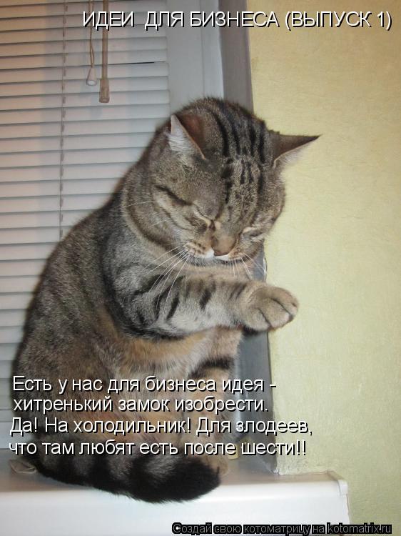 Котоматрица: ИДЕИ  ДЛЯ БИЗНЕСА (ВЫПУСК 1) Есть у нас для бизнеса идея -  хитренький замок изобрести. Да! На холодильник! Для злодеев,  что там любят есть посл