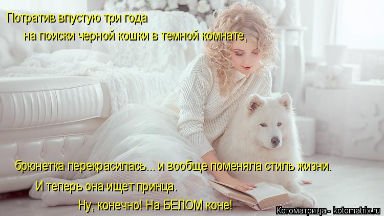 Котоматрица: Ну, конечно! На БЕЛОМ коне! Потратив впустую три года  на поиски черной кошки в темной комнате, брюнетка перекрасилась... и вообще поменяла ст