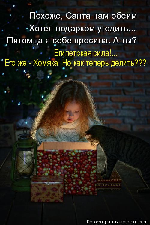 Похоже, Санта нам обеим Хотел подарком угодить... Питомца я себе просила. А ты? Его же - Хомяка! Но к... Котоматрица: Похоже, Санта нам обеим Хотел подарком угодить... Питомца я себе просила. А ты? Его же - Хомяка! Но как теперь делить??? Египетская сила!...