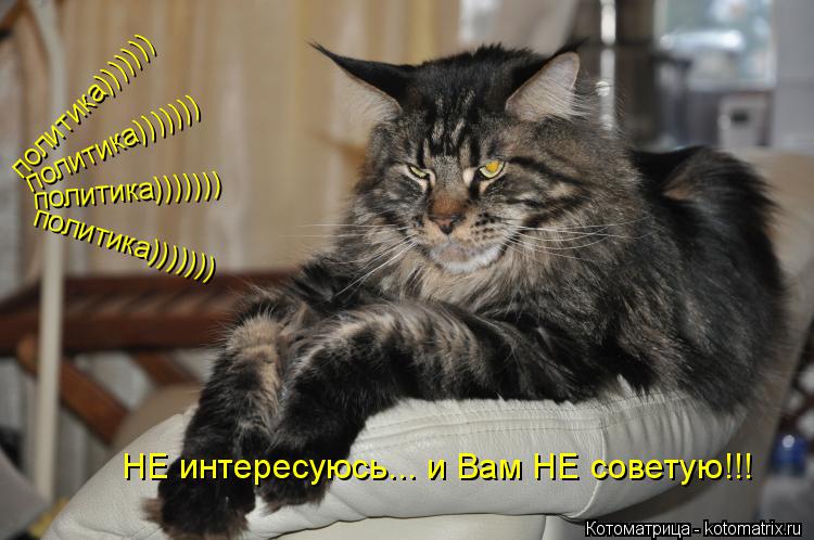 НЕ интересуюсь... и Вам НЕ советую!!! политика))))))) политика))))))) политика))))))) политика)))))))... Котоматрица: НЕ интересуюсь... и Вам НЕ советую!!! политика))))))) политика))))))) политика))))))) политика)))))))