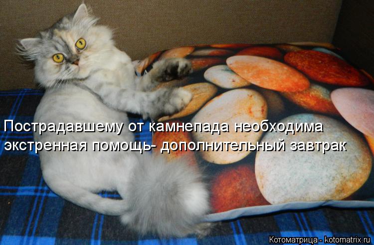 Котоматрица: Пострадавшему от камнепада необходима экстренная помощь- дополнительный завтрак