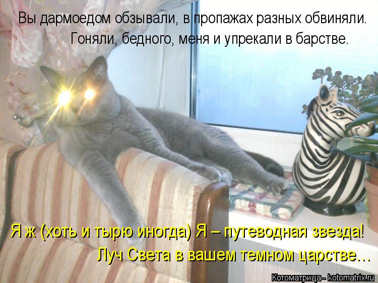 Вы дармоедом обзывали, в пропажах разных обвиняли. Гоняли, бедного, меня и упрекали в барстве. Я ж (х... Котоматрица: Вы дармоедом обзывали, в пропажах разных обвиняли. Гоняли, бедного, меня и упрекали в барстве. Я ж (хоть и тырю иногда) Я – путеводная звезда!