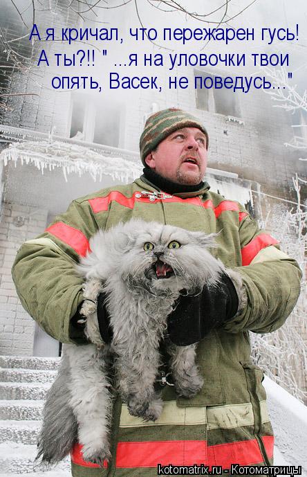 А я кричал, что пережарен гусь! А ты?!! " ...я на уловочки твои опять, Васек, не поведусь..."... Котоматрица: А я кричал, что пережарен гусь! А ты?!! " ...я на уловочки твои опять, Васек, не поведусь..."