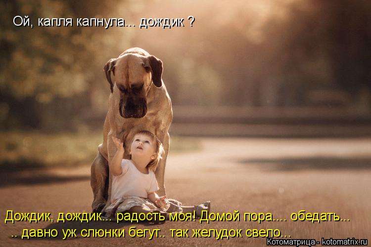 Котоматрица: Ой, капля капнула... дождик ? Дождик, дождик... радость моя! Домой пора.... обедать... .. давно уж слюнки бегут.. так желудок свело...