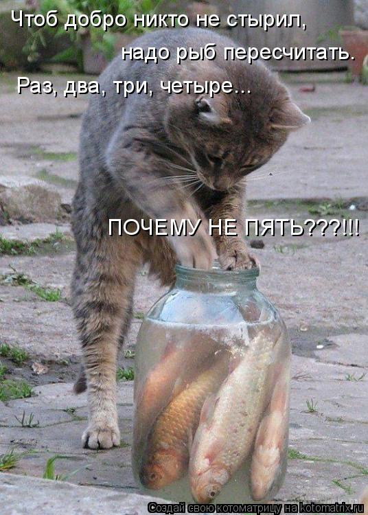 Котоматрица: Чтоб добро никто не стырил, надо рыб пересчитать. Раз, два, три, четыре... ПОЧЕМУ НЕ ПЯТЬ???!!!
