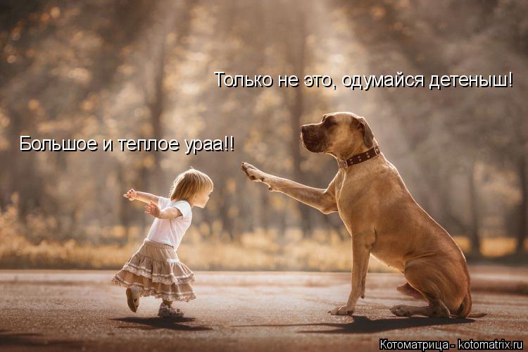 Котоматрица: Большое и теплое ураа!! Только не это, одумайся детеныш!