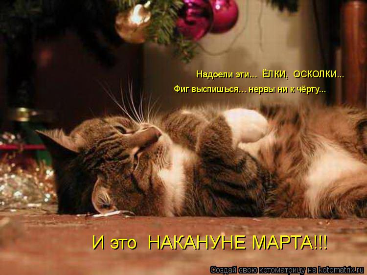 И это НАКАНУНЕ МАРТА!!! Фиг выспишься... нервы ни к чёрту... Надоели эти... ЁЛКИ, ОСКОЛКИ...... Котоматрица: И это НАКАНУНЕ МАРТА!!! Фиг выспишься... нервы ни к чёрту... Надоели эти... ЁЛКИ, ОСКОЛКИ...