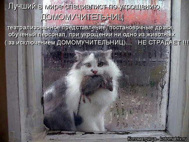 Котоматрица: Лучший в мире специалист по укрощению ДОМОМУЧИТЕЛЬНИЦ театрализованное представление, постановочные драки,  обученый персонал, при укрощ
