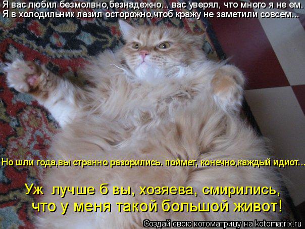 Котоматрица: Я вас любил безмолвно,безнадежно... вас уверял, что много я не ем. Я в холодильник лазил осторожно,чтоб кражу не заметили совсем... Но шли года,
