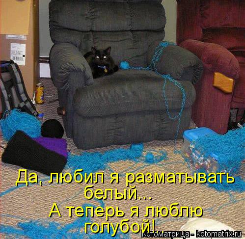 Котоматрица: Да, любил я разматывать  белый... А теперь я люблю голубой!..