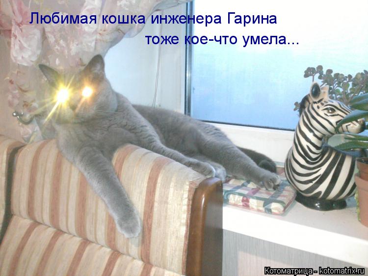 Котоматрица: Любимая кошка инженера Гарина тоже кое-что умела...