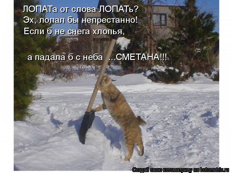 ЛОПАТа от слова ЛОПАТь? Эх, лопал бы непрестанно! Если б не снега хлопья, а падала б с неба ...СМ... Котоматрица: ЛОПАТа от слова ЛОПАТь? Эх, лопал бы непрестанно! Если б не снега хлопья, а падала б с неба ...СМЕТАНА!!!