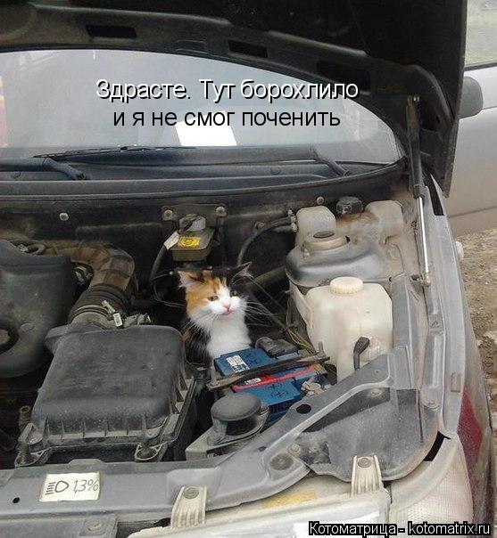 Котоматрица: Здрасте. Тут борохлило  Здрасте. Тут борохлило  и я не смог поченить