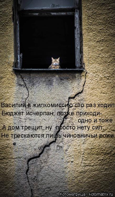 Котоматрица: Бюджет исчерпан, позже приходи- одно и тоже А дом трещит, ну  просто нету сил, Не трескаются лишь чиновничьи рожи Василий в жилкомиссию сто р