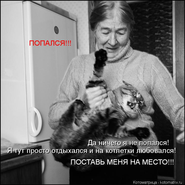 Котоматрица: ПОПАЛСЯ!!! Да ничего я не попался! Я тут просто отдыхался и на котлетки любовался! ПОСТАВЬ МЕНЯ НА МЕСТО!!!
