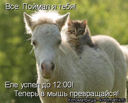 Котоматрица: Все. Поймал я тебя!  Еле успел до 12:00! Теперь в мышь превращайся!
