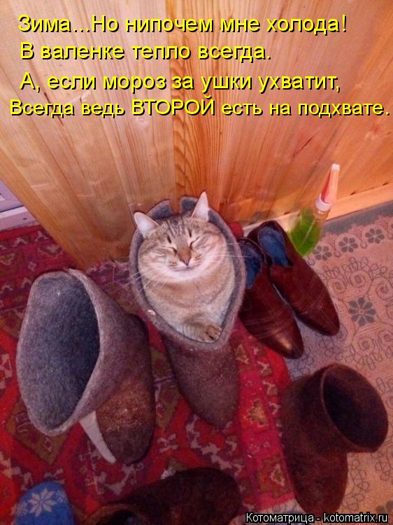 Котоматрица: Зима...Но нипочем мне холода! В валенке тепло всегда. А, если мороз за ушки ухватит, Всегда ведь ВТОРОЙ есть на подхвате.