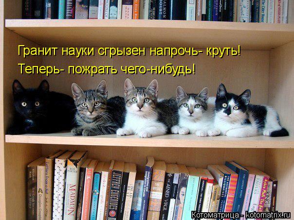 Котоматрица: Гранит науки сгрызен напрочь- круть! Теперь- пожрать чего-нибудь!