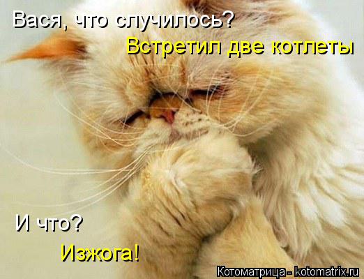 Вася, что случилось? Встретил две котлеты И что? Изжога!... Котоматрица: Вася, что случилось? Встретил две котлеты И что? Изжога!