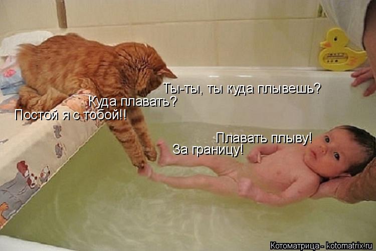 Котоматрица: Ты-ты, ты куда плывешь? Плавать плыву!  Куда плавать? За границу! Постой я с тобой!!