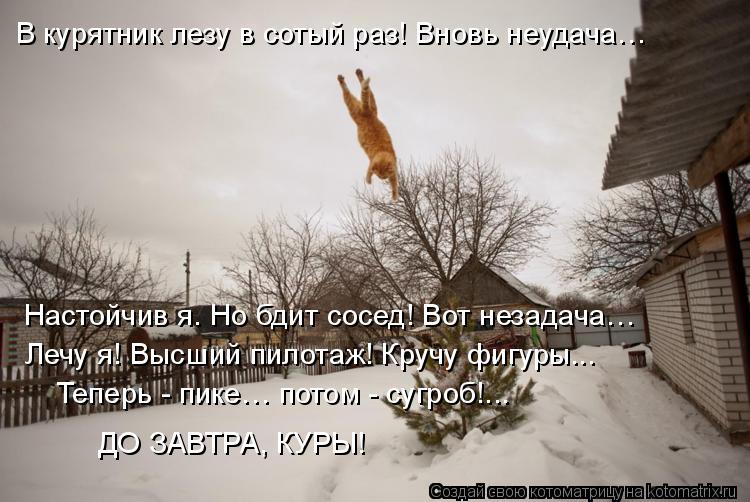 В курятник лезу в сотый раз! Вновь неудача… Лечу я! Высший пилотаж! Кручу фигуры... Теперь - пике… по... Котоматрица: В курятник лезу в сотый раз! Вновь неудача… Лечу я! Высший пилотаж! Кручу фигуры... Теперь - пике… потом - сугроб!... ДО ЗАВТРА, КУРЫ! Настойчив