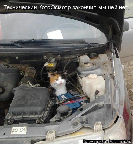 Котоматрица: Технический КотоОсмотр закончил мышей нет.