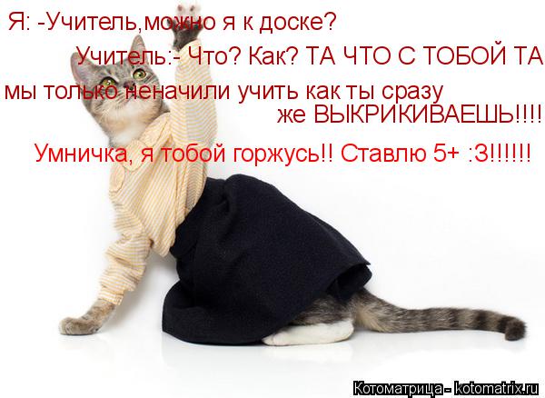 Котоматрица: Я: -Учитель,можно я к доске?  Учитель:- Что? Как? ТА ЧТО С ТОБОЙ ТАКОЕ?  мы только неначили учить как ты сразу  же ВЫКРИКИВАЕШЬ!!!! Умничка, я тобой