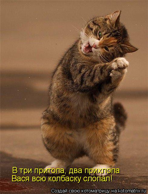 Котоматрица: В три притопа, два прихлопа Вася всю колбаску слопал!