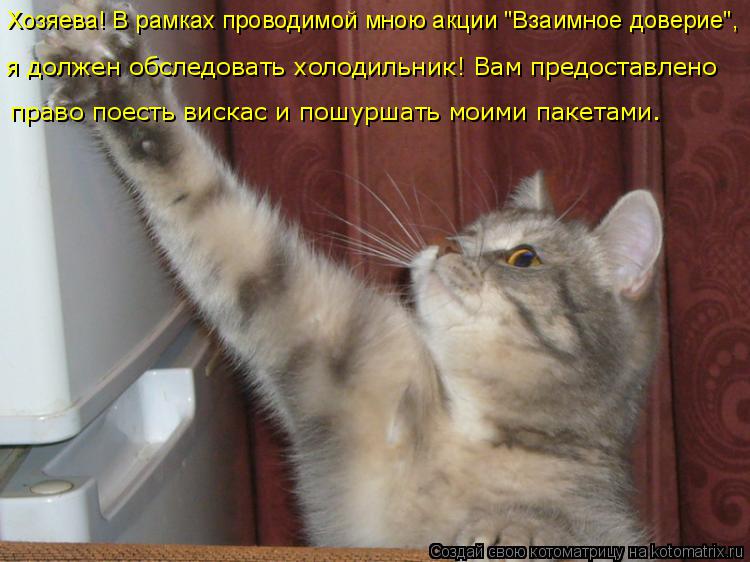 Хозяева! В рамках проводимой мною акции "Взаимное доверие", я должен обследовать холодильник! Вам пре... Котоматрица: Хозяева! В рамках проводимой мною акции "Взаимное доверие", я должен обследовать холодильник! Вам предоставлено право поесть вискас и пошу