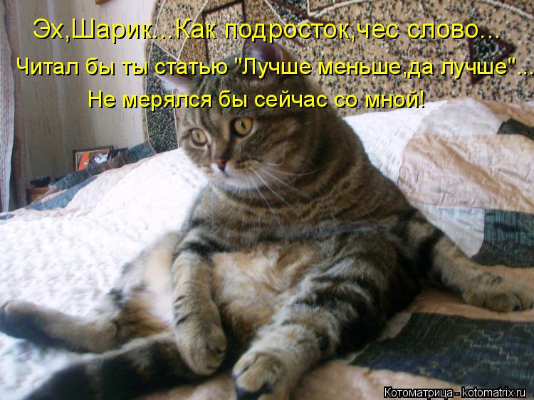 Котоматрица: Эх,Шарик...Как подросток,чес слово... Читал бы ты статью "Лучше меньше,да лучше"... Не мерялся бы сейчас со мной!