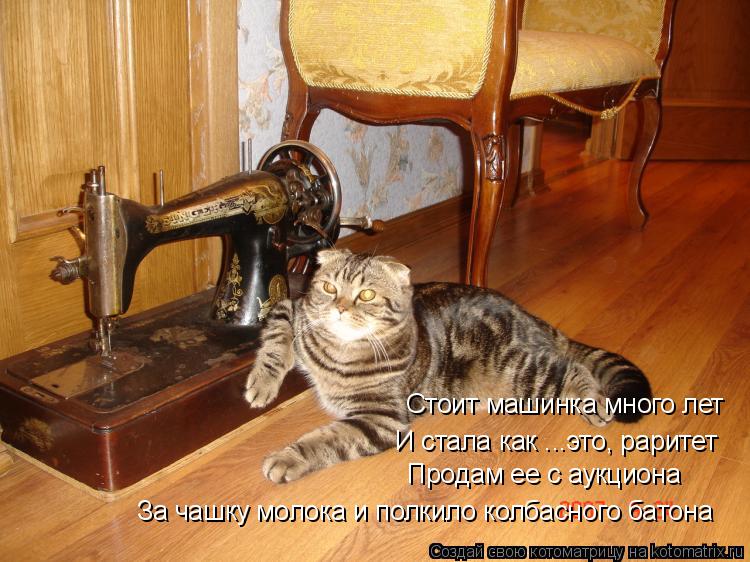 Котоматрица: Стоит машинка много лет И стала как ...это, раритет Продам ее с аукциона За чашку молока и полкило колбасного батона