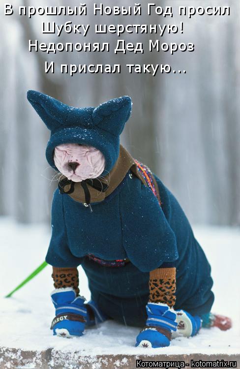 Котоматрица: В прошлый Новый Год просил Шубку шерстяную! Недопонял Дед Мороз И прислал такую...
