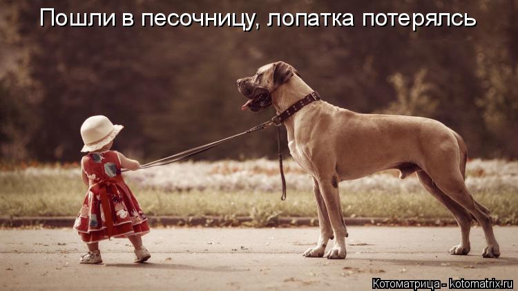 Котоматрица: Пошли в песочницу, лопатка потерялсь