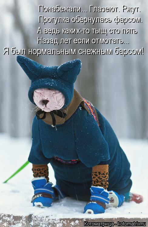 Котоматрица: Понабежали... Глазеют. Ржут. Прогулка обернулась фарсом. А ведь каких-то тыщ сто пять Назад лет если отмотать... Я был нормальным снежным барс
