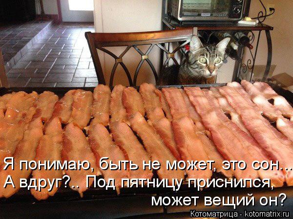 Котоматрица: Я понимаю, быть не может, это сон... А вдруг?.. Под пятницу приснился, может вещий он?