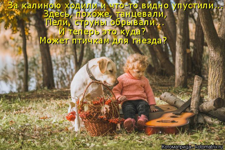 Котоматрица: За калиною ходили и что-то видно упустили... Здесь, похоже, танцевали, Пели, струны обрывали... И теперь это куда?  Может птичкам для гнезда?