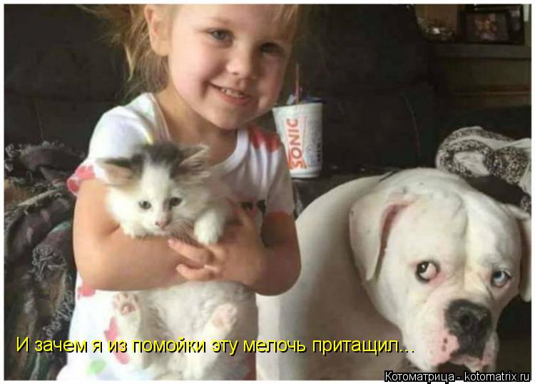 Котоматрица: И зачем я из помойки эту мелочь притащил...