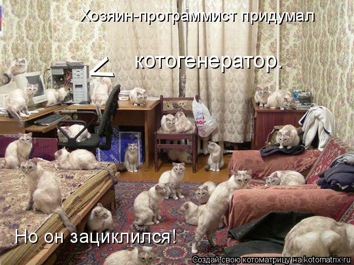 Котоматрица: Но он зациклился! котогенератор. < Хозяин-программист придумал