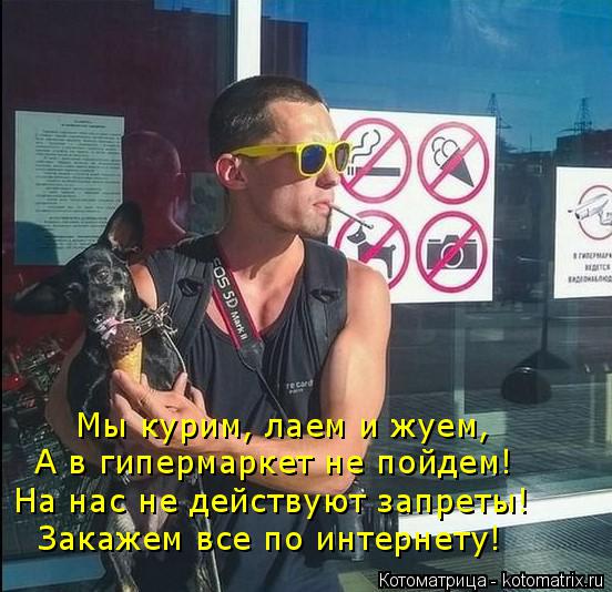 Котоматрица: Мы курим, лаем и жуем, А в гипермаркет не пойдем! На нас не действуют запреты! Закажем все по интернету!
