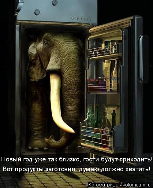 Котоматрица: Вот продукты заготовил, думаю должно хватить! Новый год уже так близко, гости будут приходить!