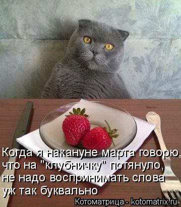 Котоматрица: Когда я накануне марта говорю,  что на "клубничку" потянуло, не надо воспринимать слова уж так буквально