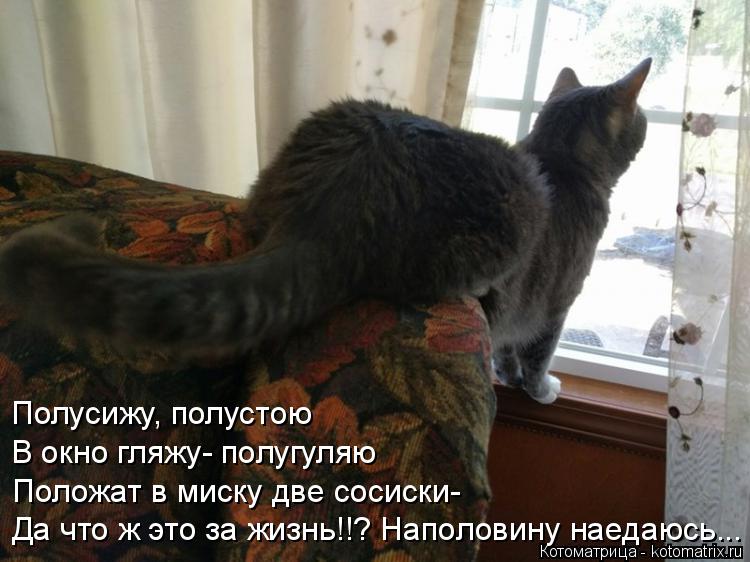Котоматрица: Полусижу, полустою В окно гляжу- полугуляю Положат в миску две сосиски- Да что ж это за жизнь!!? Наполовину наедаюсь...